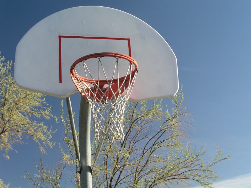 Completed Basketball Goal